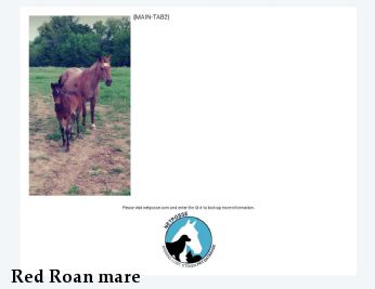 Red Roan mare & Bay Roan Colt